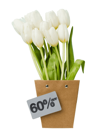 Main 38 Main - 37 - 4 TEFL