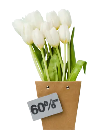 Main 38 Main - 37 - 4 TEFL